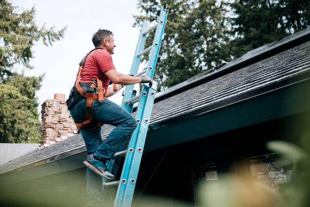 Best Roof Maintenance and Cleaning  in Redding, CA